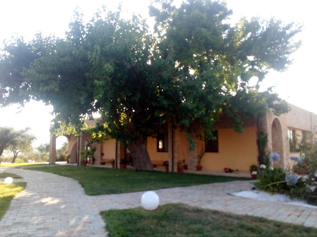 Agriturismo Piccolo Albero Лорето-Апрутіно Екстер'єр фото